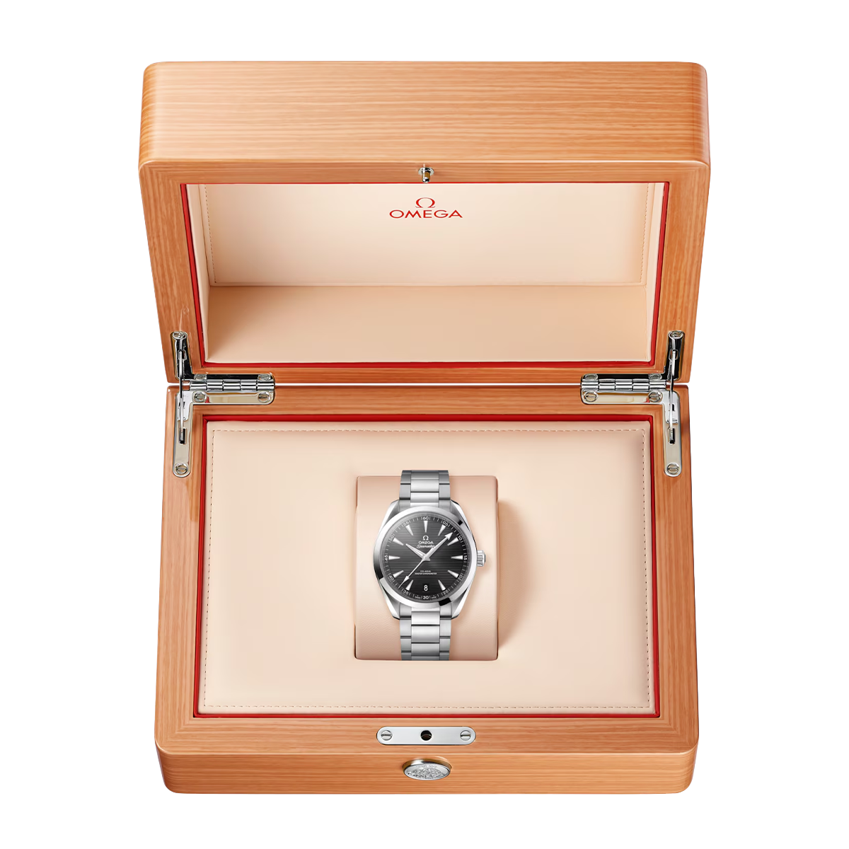 Seamaster Aqua Terra 41 mm Black Dial