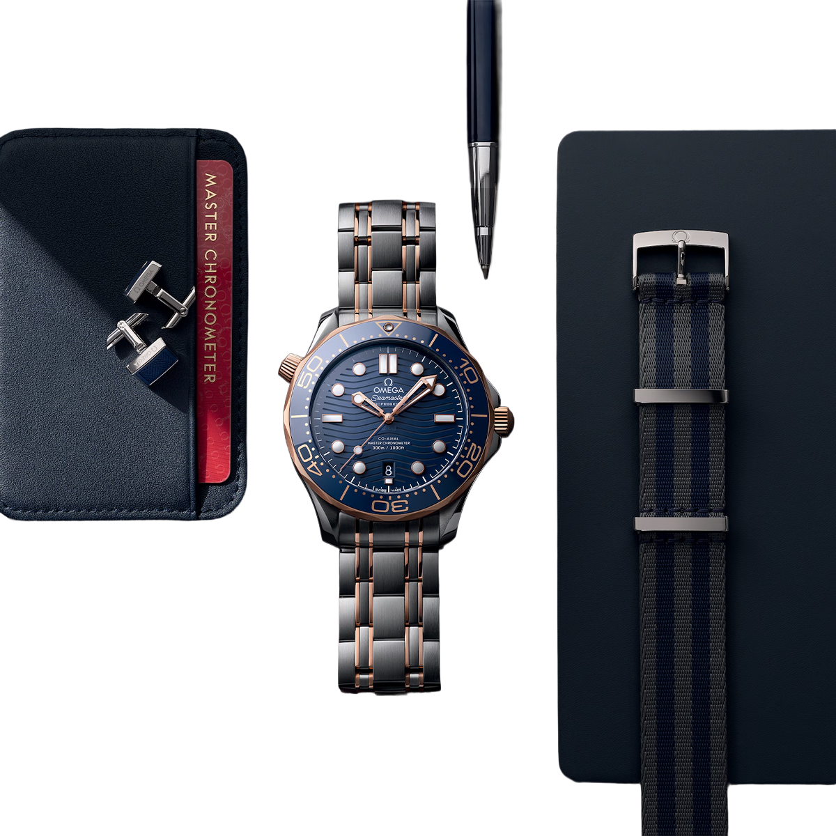 Seamaster Automatic Dial 210.20.42