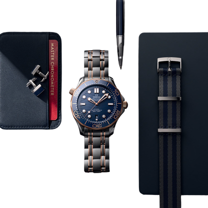 Seamaster Automatic Dial 210.20.42