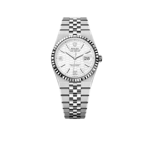 Land-Dweller 36 mm  Oystersteel White Gold M127334-0001