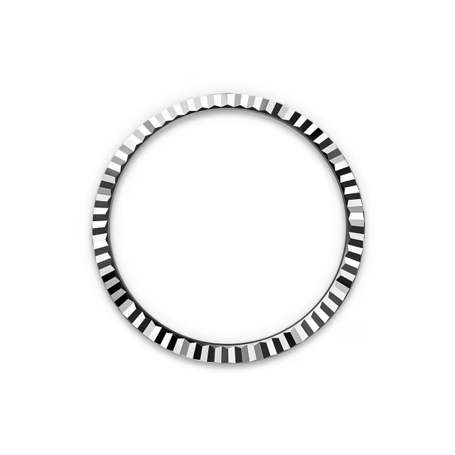 Land-Dweller 40 mm  Oystersteel White Gold M127334-0001