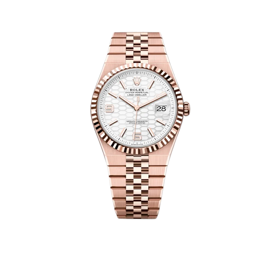 Land-Dweller 40mm Oyster Everose gold M127335-0001