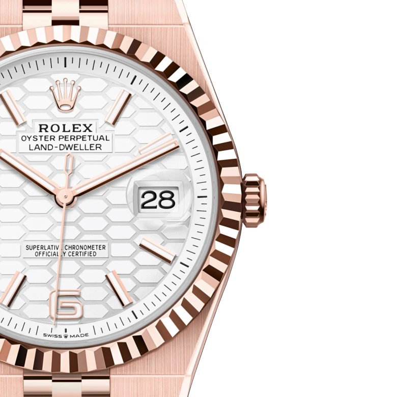 Land-Dweller 40mm Oyster Everose gold M127335-0001
