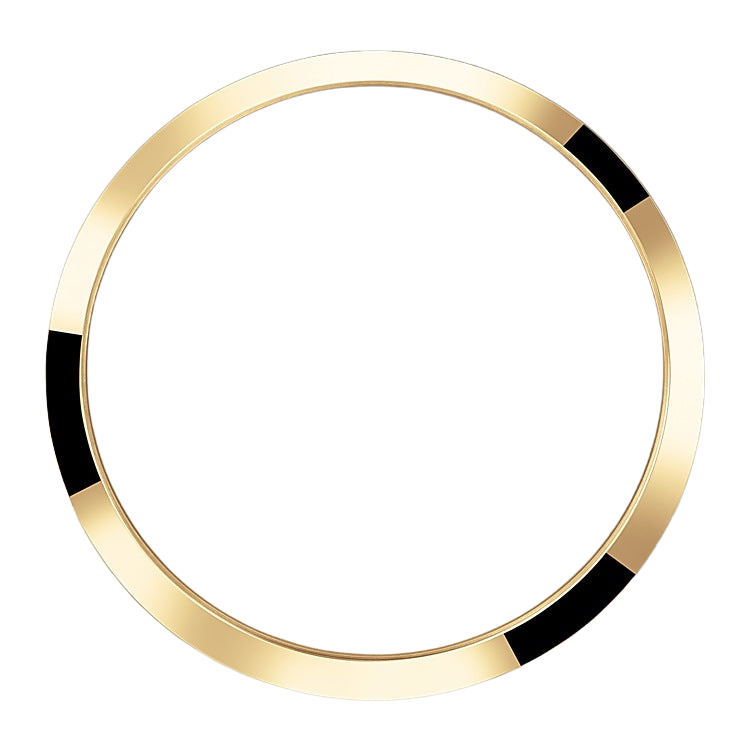 Explorer 36mm 18k Yellow Gold and Stainless steel (2024) 124273-0001