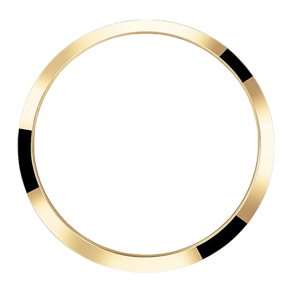 Explorer 36mm 18k Yellow Gold and Stainless steel (2024) 124273-0001
