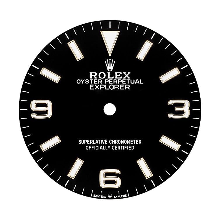 Explorer 36mm 18k Yellow Gold and Stainless steel (2024) 124273-0001